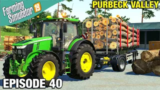 THINNING OUT TREES  Farming Simulator 19 Timelapse - Purbeck Valley Farm FS19 Ep 40
