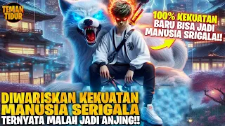 DI SANGKA LEMAH!! B0C4H INI TERNYATA KETURUNAN MANUSIA SERIGALA TERKUAT!! - ALUR CERITA