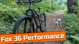 All about the Fox 36 Performance 29 / 27.5+ Fork. Grip Damper EVOLV Feature Review + Weight