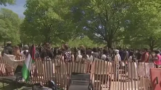 Aumentan manifestaciones en Chicago por la guerra en Gaza