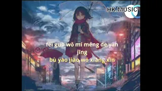 Shui De Yan Lei Zai Fei 谁的眼泪在飞 /liryc pinyin/mandarin song karaoke no vocal