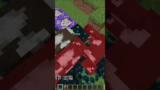 THE MINECRAFT INFECTION! Sculk-19