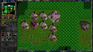 Warcraft 2 Mini Chop Farms 4v4