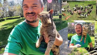 The stray cat experienced an explosion of excitement when he met the man who rescued him again.