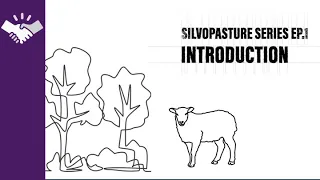 Partner Video: Silvopasture Series Introduction