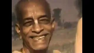 "Hog Happiness" Srila Prabhupada's Lecture on 10th November 1973 in New Delhi, India