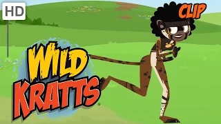 Wild Kratts - Olympic Sprint: Amazing Creature Race