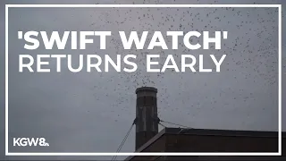 'Swift Watch' returns to Chapman Elementary earlier than usual