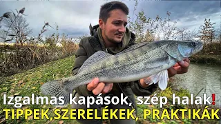 A süllő horgászata! Letett bottal és pergetve 🍁🐲 #fishing