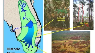 Florida Everglades National Park (GLY-2160)