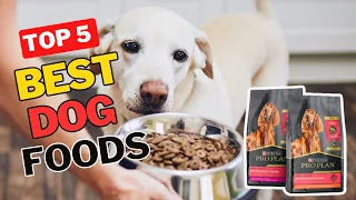 ✅Top 5 Best Dog Foods Review 2023