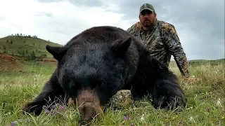 Montana Black Bear Rifle Hunt with Matt Light - MossBack