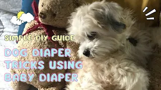 💕😉👍DOG DIAPER TRICKS USING BABY DIAPER 👍😉💕 SIMPLE DIY GUIDE #TIPID  #DISKARTE #shihtzu