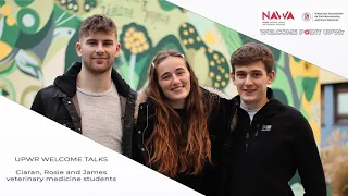 Keep calm, find friends and study veterinary medicine. A talk with Ciaran, Rosie and James
