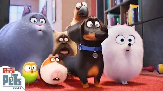 New Animation Movie 2020   The Secret Life of Pets‏ best animated movies