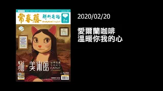 解析英語20200220-Excuse me, There's Whiskey in my Coffee 愛爾蘭咖啡　溫暖你我的心