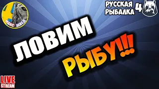 Русская Рыбалка 4 - ЧТО НОВОГО В 2024 году