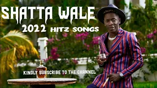 Shatta wale 2022 hitz songs mix.