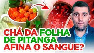 Chá da folha de pitanga: remédio natural para limpar vasos sanguíneos com má circulação e trombose