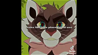 Warrior cats TikTok compilation part 1/3