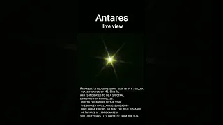 Antares ( Red Supergiant ) Star live view through my telescope #shorts