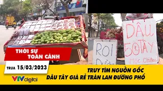 Thời sự toàn cảnh trưa 15/3: Truy tìm nguồn gốc dâu tây giá rẻ tràn lan đường phố | VTV24