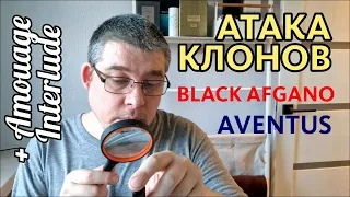 КЛОНЫ AVENTUS, BLACK AFGANO + AMOUAGE  INTERLUDE // Fragrance Review