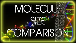 Molecule Size Comparison 2023 8K 3D 60FPS