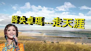 降央卓瑪---走天涯(非常好聽的歌曲)