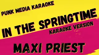 MAXI PRIEST ✴ IN THE SPRINGTIME ✴ KARAOKE INSTRUMENTAL ✴ PMK