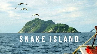 Snake Island | 100 Wonders | Atlas Obscura