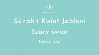 Sanah i Kwiat Jabłoni - Szary świat (Karaoke/Instrumental) Lower Key