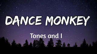 Tones and I   Dance Monkey Lyrics