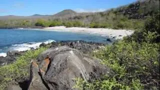 Galapagos islands. Nature of San Cristobal.