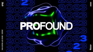 PROFOUND | 2023 End Of Year Mix