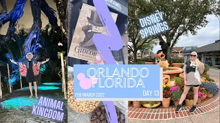 Animal Kingdom, Gideon's Bakehouse, Disney Springs, & Rainforest Cafe | ORLANDO DAY 13