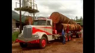 Logging trucks and huge Timber of the Pacific NW