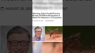 What Could Possibly Go Wrong? #BillGates #youtube #shorts