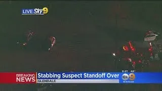 Panorama City Stabbing Suspect In Custody Following Wild Pursuit, Standoff