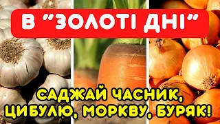 7 золотих днів У ЛИСТОПАДІ 2023 для посадок озимих: часника, цибулі, моркви, буряка