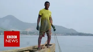 Is China's fishing fleet taking all of West Africa's fish? - BBC News