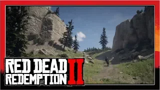 Die Skinner #92 - RED DEAD REDEMPTION 2 | Let's Play | 4K