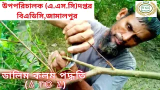 ডালিম কলম (ডালিম কলম পদ্ধতি A to Z) ............কৃষিই সমৃদ্ধি