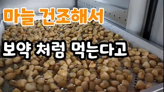 마늘 건조해서 보약 처럼 오래 두고 먹는법