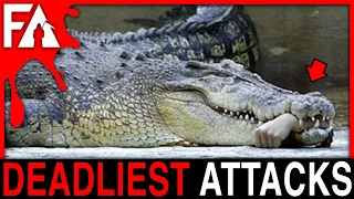 Deadliest Animal Attacks MARATHON! (Sharks, Bears, Crocodiles, Chimps)