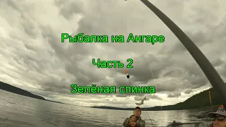 Рыбалка на Ангаре. Часть 2. Зелёная спинка