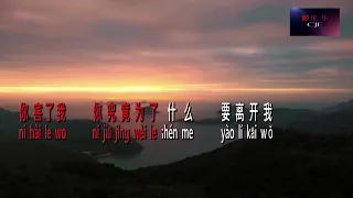 Wei Shen Me Li Kai Wo 为什么离开我 Vokal