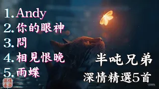 🔄深情精選情歌🔄 半噸兄弟5首翻唱特輯1 『Andy / 你的眼神 / 問 / 相見恨晚 / 雨蝶』【動態歌詞Lyrics】