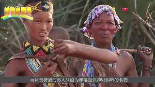 非洲有一个部落，女人的地位比男性高，男性平均身高仅有1 6米