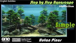 Step by Step Aquascape 60cm Pine Forest Theme